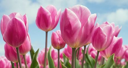 Наши поздравления с весной + график работы