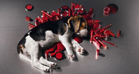 А Вы смогли бы протестировать продукцию на своем животном?